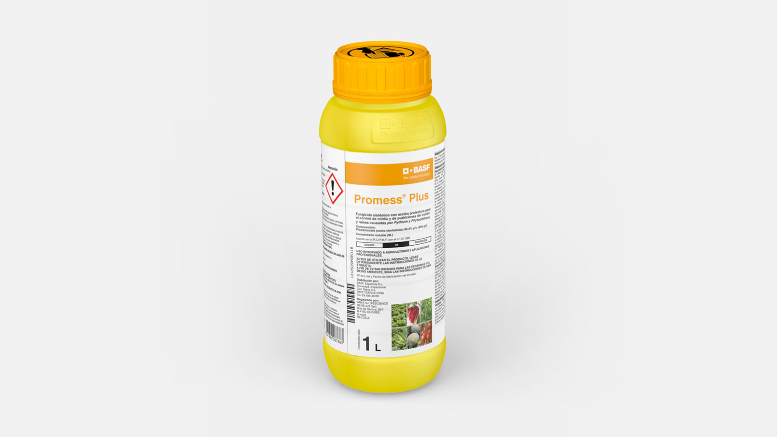   Promess-Plus